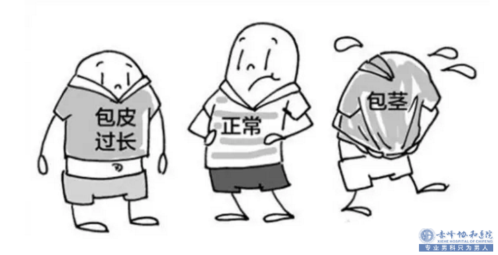 金华包皮过长的任性之作,你知道吗？