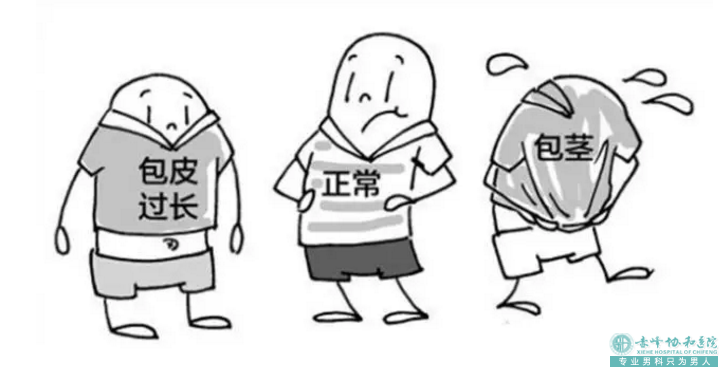 金华包皮过长,谈什么甜蜜幸福了