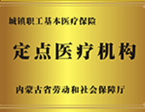 定点医疗机构